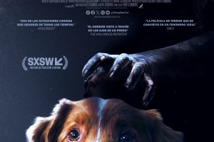 LLEGA A COLOMBIA ‘GOOD BOY’ , UNA EXPERIENCIA QUE SOLO  PUEDE VIVIRSE EN PANTALLA GRANDE.