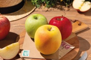 DEL CORAZÓN DE EUROPA AL PALADAR DE COLOMBIA COMIENZA LA TEMPORADA 2025 DE MANZANAS FRANCESAS